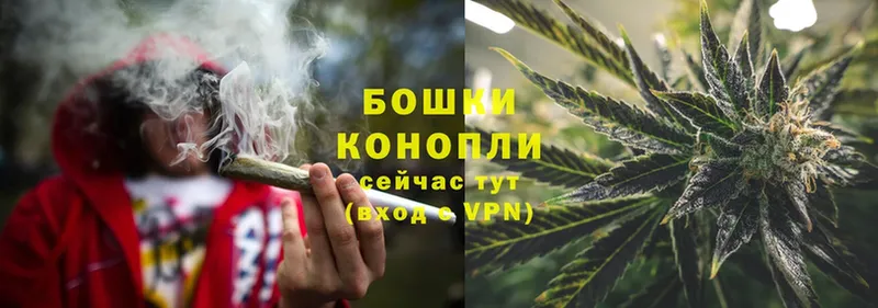 Каннабис OG Kush  Биробиджан 